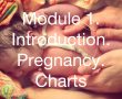 Module 1. Introduction. Pregnancy. Charts